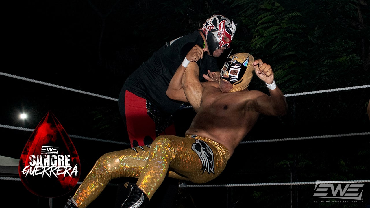 EWE Blog 103 Resultados EWESG Catch