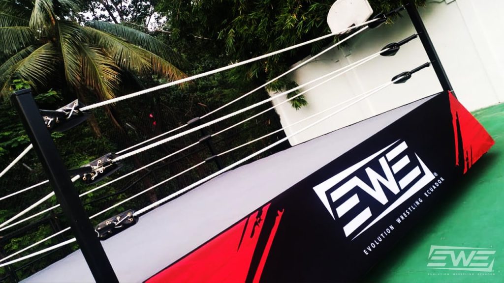 EWE Blog 94 EWE Ring